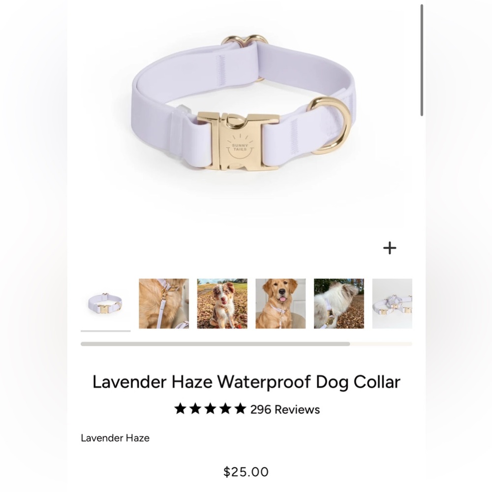 Sunny Tails Lavender Haze Waterproof Dog Collar Gold Hardware Small NEW - Picture 3 of 7